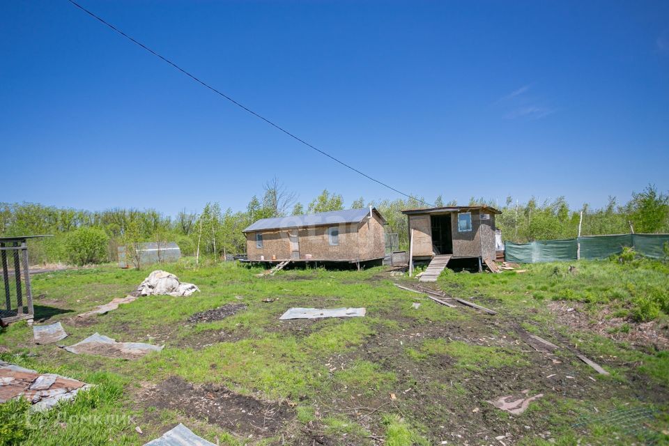 земля р-н Смидовичский фото 7