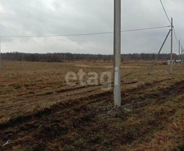 п Куликово ул Озерная Переславское сельское поселение фото