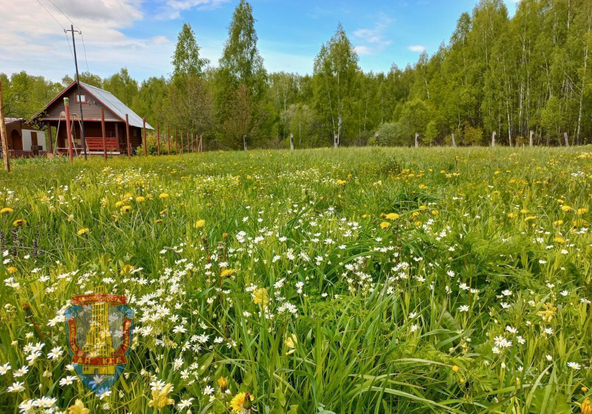 земля городской округ Ступино д Волково ул Останкинская 13 9797 км, Мещерино, Каширское шоссе фото 4