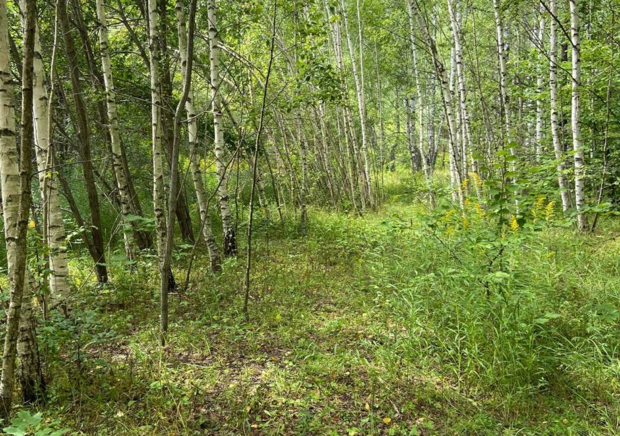 земля р-н Богородский д Килелей Буревестник фото 9