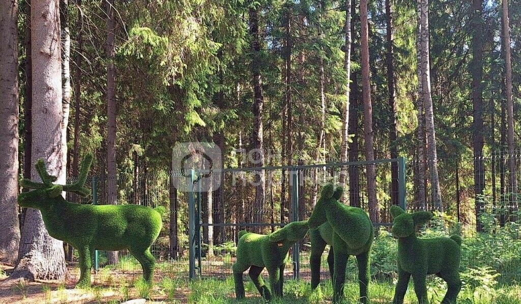 земля р-н Всеволожский д Сарженка Приозерское шоссе, 9736 км, Юкковское сельское поселение, Агалатово фото 5