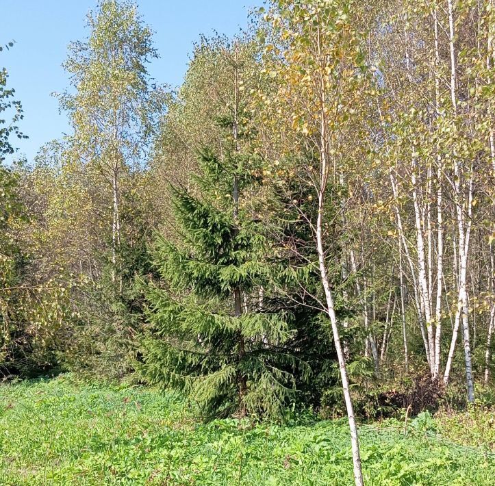 земля городской округ Волоколамский д Ширяево ул Старая 10 фото 4