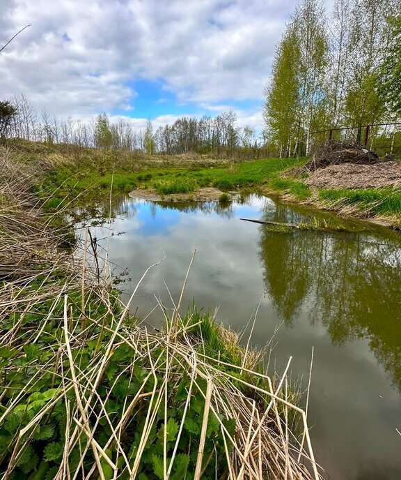 земля городской округ Наро-Фоминский д Латышская Апрелевка фото 13