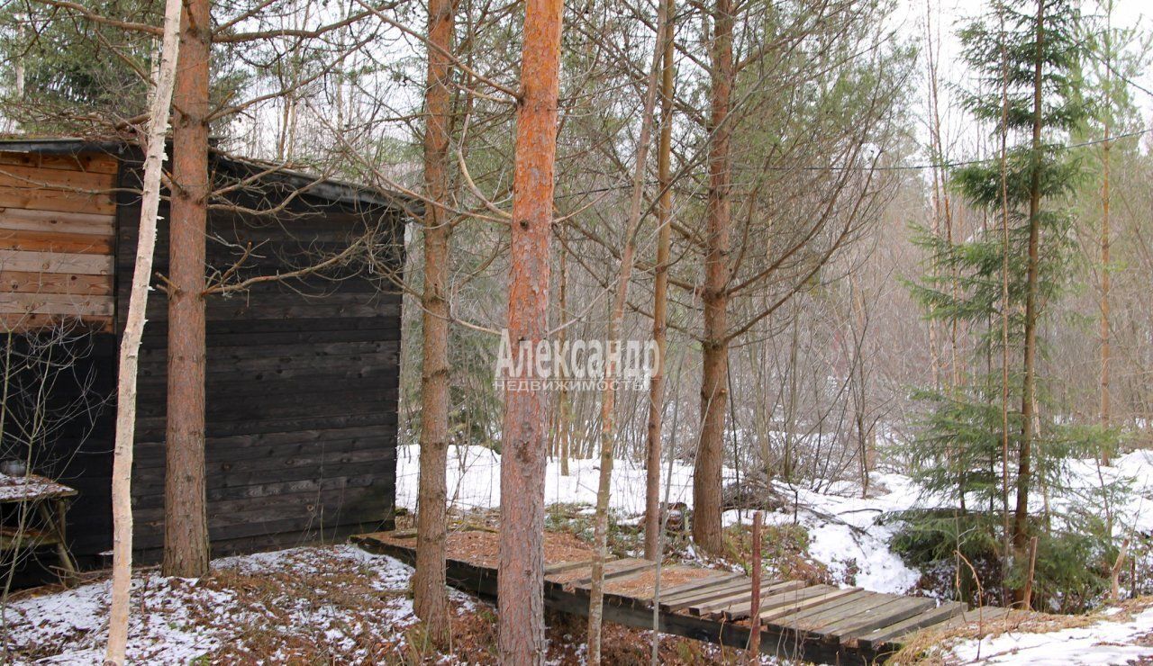 земля р-н Всеволожский массив Проба снт Венера Дорога жизни, 9749 км, Рахьинское городское поселение, 4-я линия, Рахья фото 12