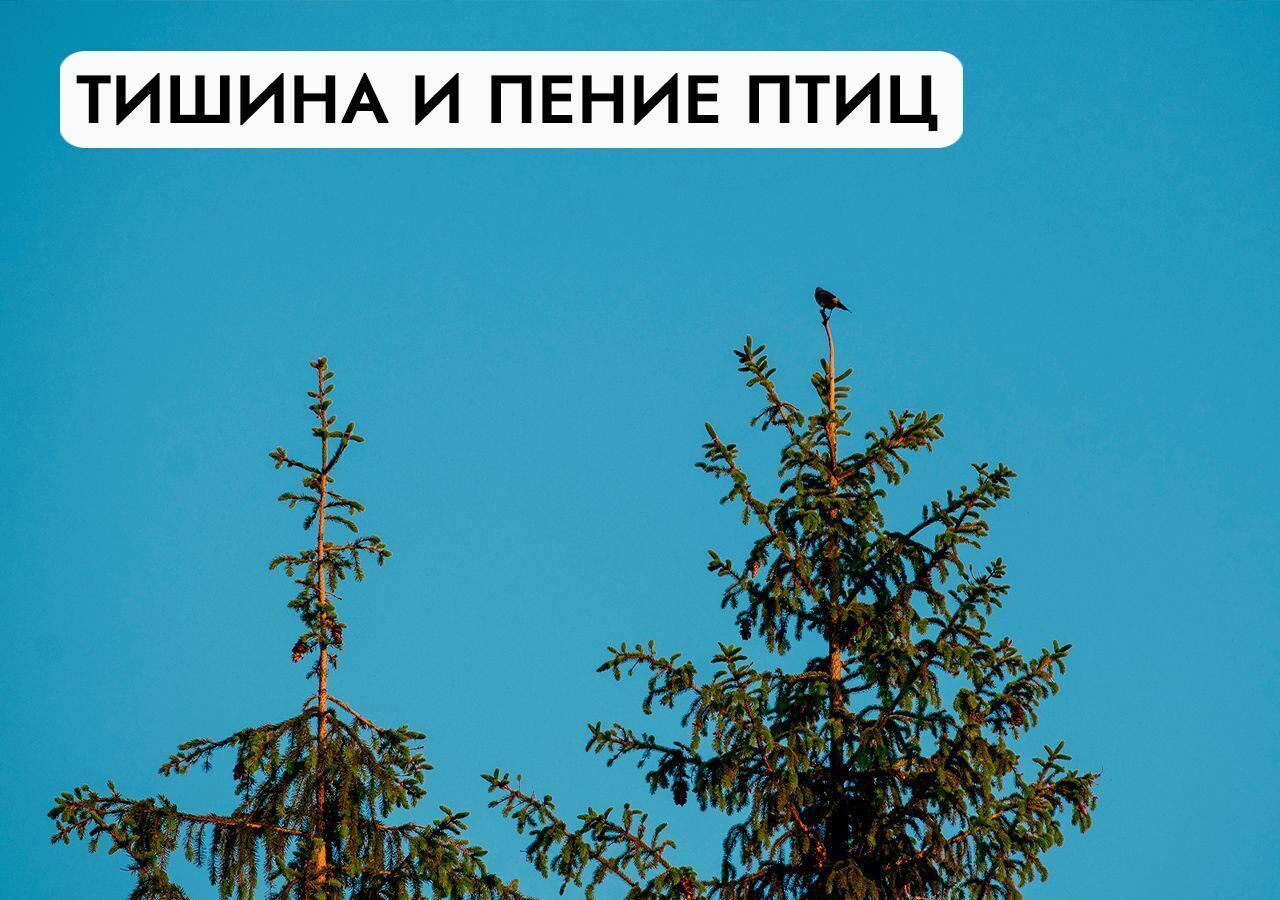 земля городской округ Истра п Красный ЖК Парк Фонтэ Павловская Слобода, 9750 км, Посёлок, Новорижское шоссе фото 25