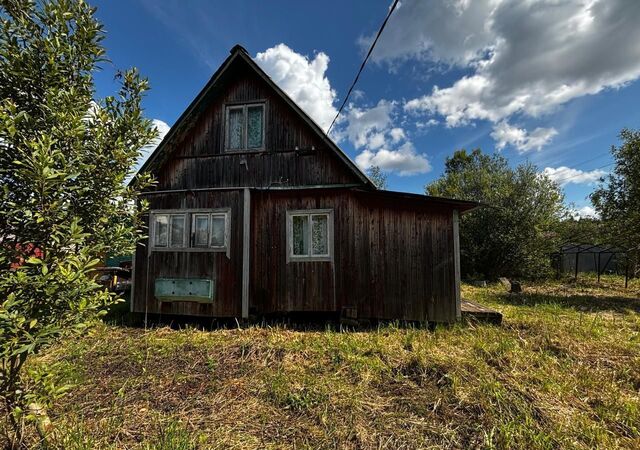 п Вербилки 81 км, садовое товарищество Океан-1, Дмитровское шоссе фото