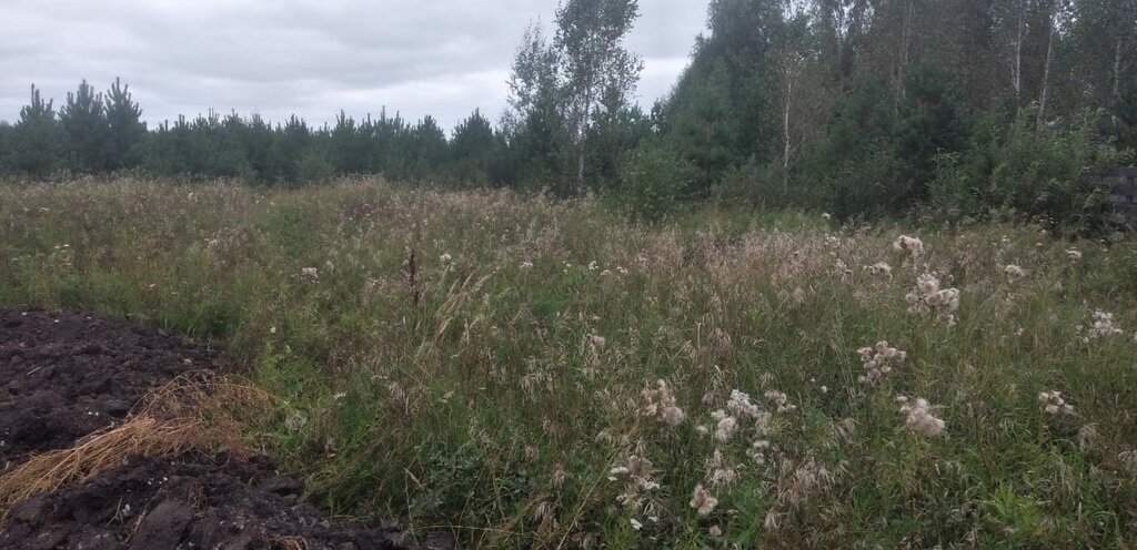 земля р-н Белоярский п Верхнее Дуброво Чкаловская фото 2