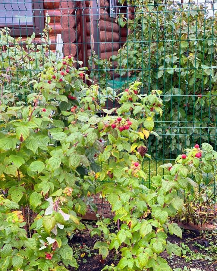 дом городской округ Волоколамский 92 км, ДНП Солнце, Волоколамск, Новорижское шоссе фото 10