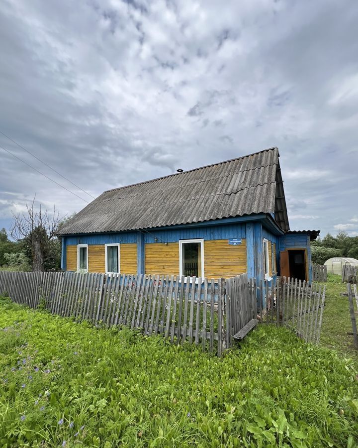 дом р-н Великолукский д Торчилово ул Загородная Лычёвская волость, Великие Луки фото 1