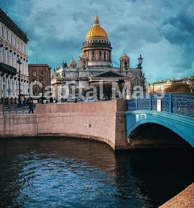 квартира г Санкт-Петербург метро Площадь Восстания ул Кременчугская 17к/3 фото 16