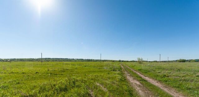 земля ул Прохладная 3 фото