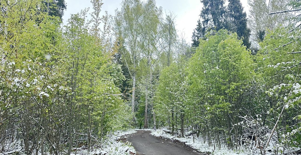 земля городской округ Истра д Гребеньки 68 км, Сычево, Волоколамское шоссе фото 7