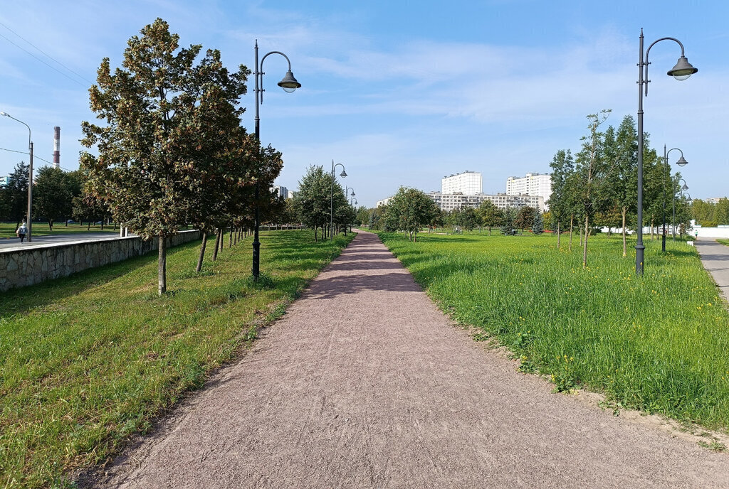 квартира г Санкт-Петербург метро Ломоносовская пр-кт Дальневосточный 46/28 фото 17