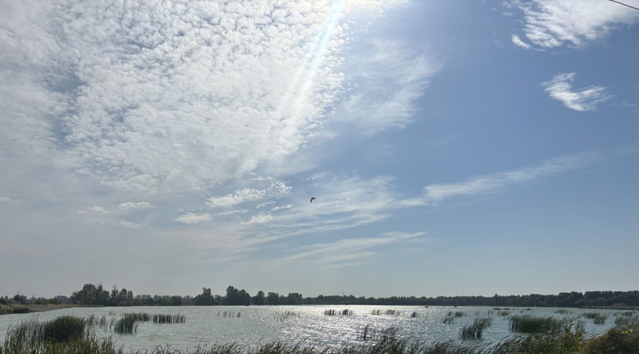 квартира городской округ Богородский п Рыбхоз ул Ромашковая 63к/2 Железнодорожная фото 16