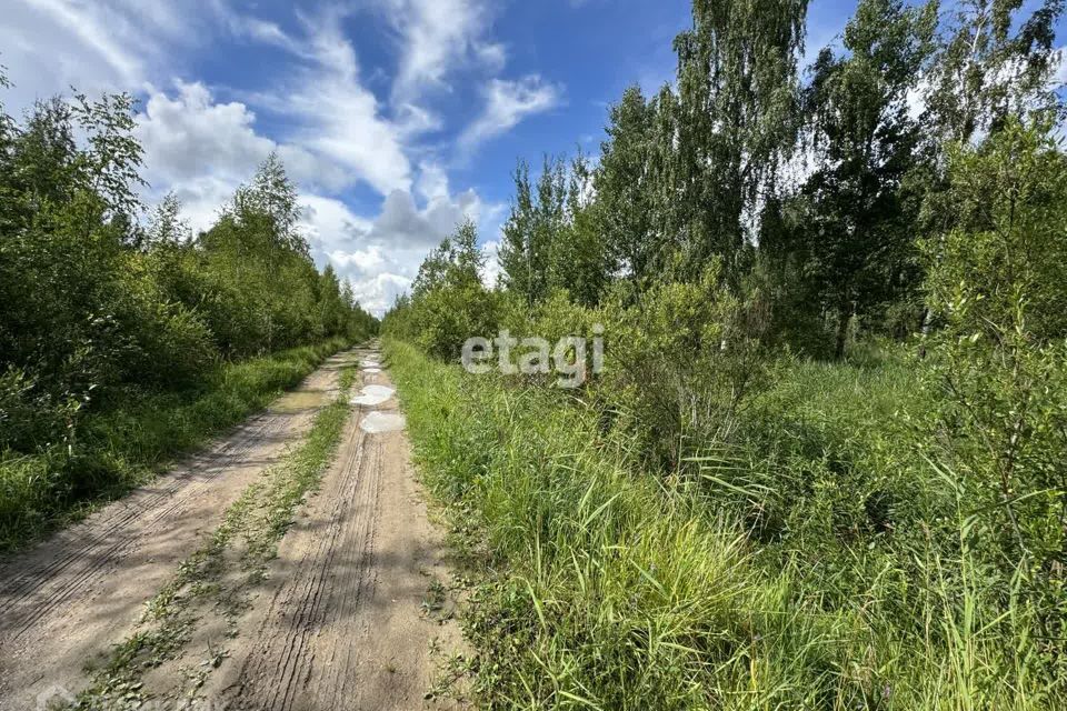 земля р-н Гатчинский п Новый Свет Долгая фото 4