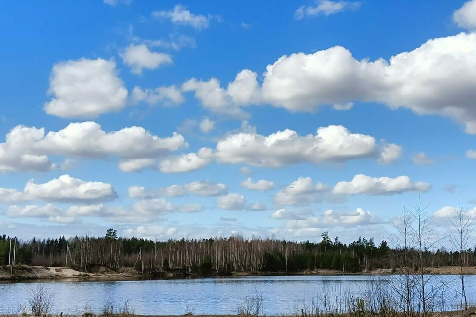 земля р-н Всеволожский фото 1