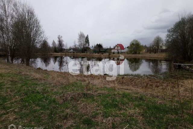 деревня Бестужево фото