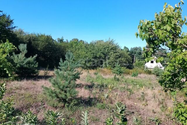 р-н Белгородский ДНТ Феддеровское фото