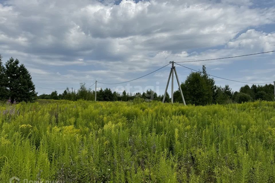 земля р-н Городецкий деревня Чуркино фото 1