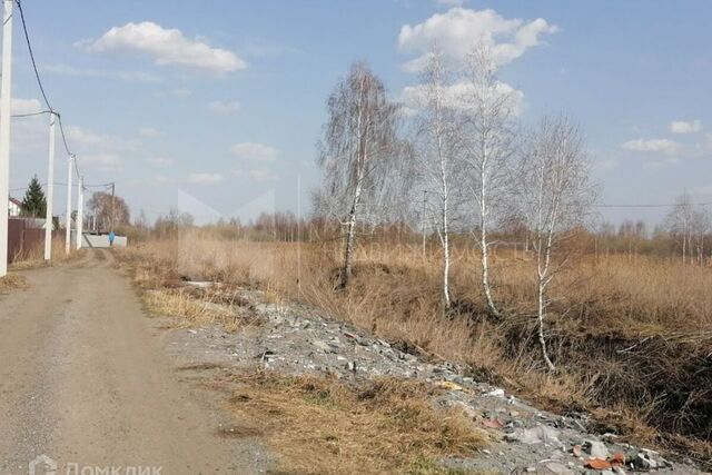 городской округ Тюмень, СТ нка фото