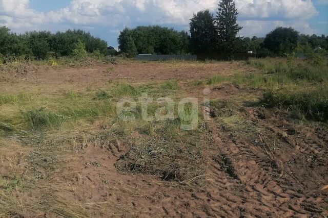 муниципальное образование Борисоглебское, село Борисоглеб фото