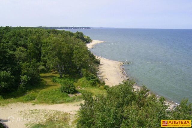 Пионерский городской округ, Доброе фото