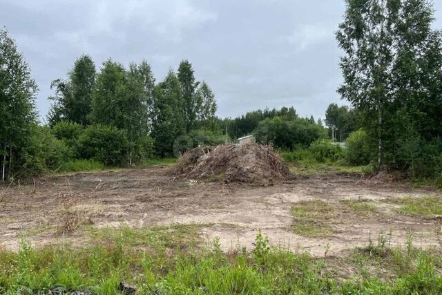 городской округ Тюмень, садоводческое некоммерческое товарищество Берёзка фото