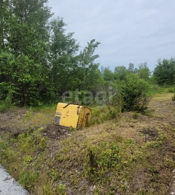 земля р-н Хабаровский СНТ Раздольное фото 3