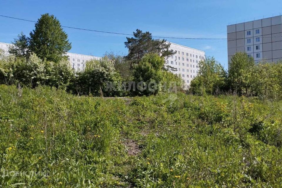 земля г Новосибирск р-н Октябрьский НСТ Комета-Берёзка, городской округ Новосибирск фото 2