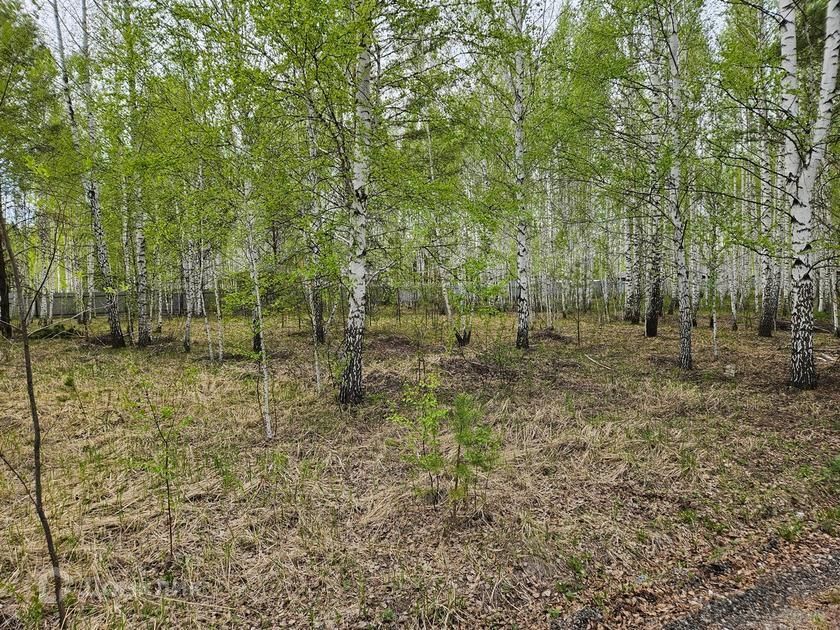 земля р-н Нижнетавдинский садоводческое некоммерческое товарищество Царицыно фото 4