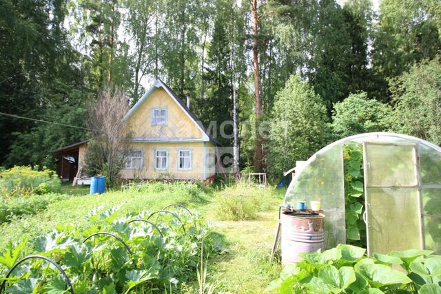 городской округ Коряжма, СНТ Строитель-1 фото