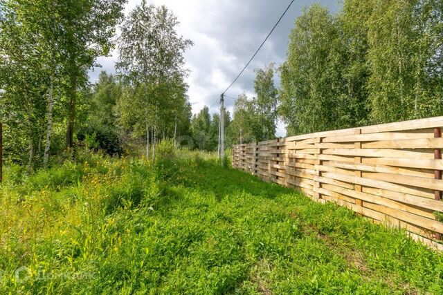 городской округ Тюмень, Верхний Бор фото