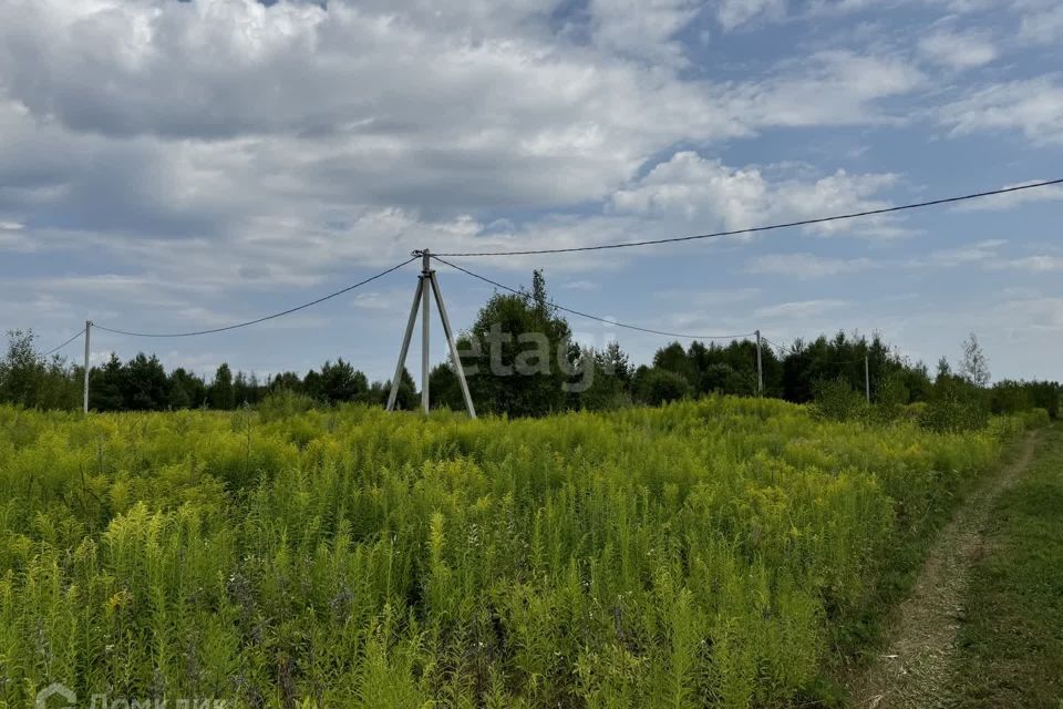 земля р-н Городецкий деревня Чуркино фото 3