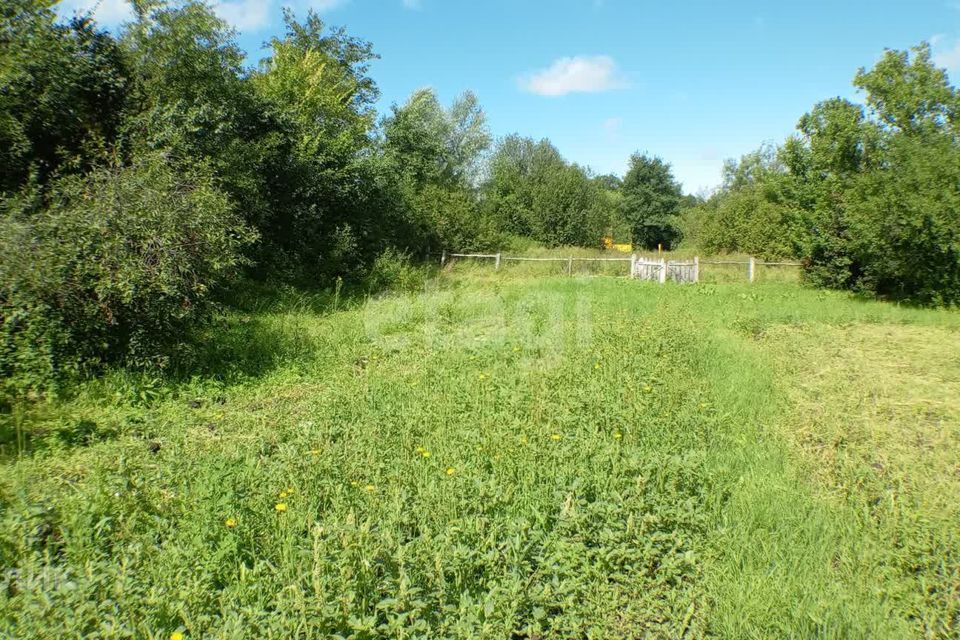 земля р-н Богородский село Афанасьево фото 3