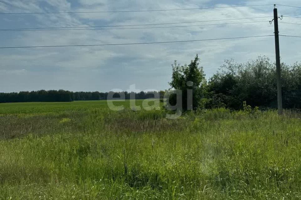 земля р-н Городецкий деревня Чуркино фото 1