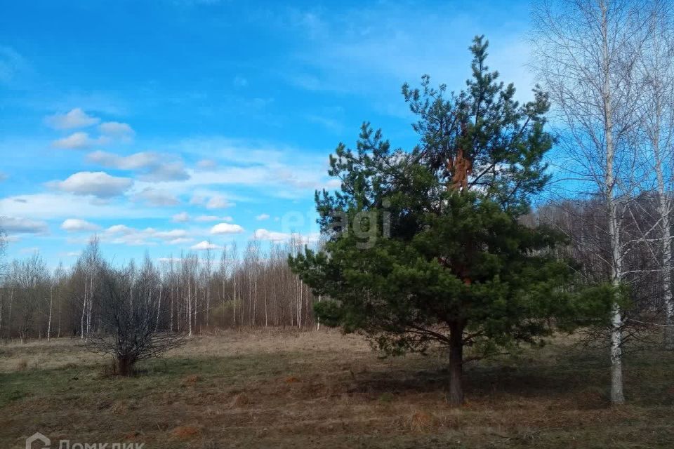 земля р-н Богородский деревня Инютино фото 1