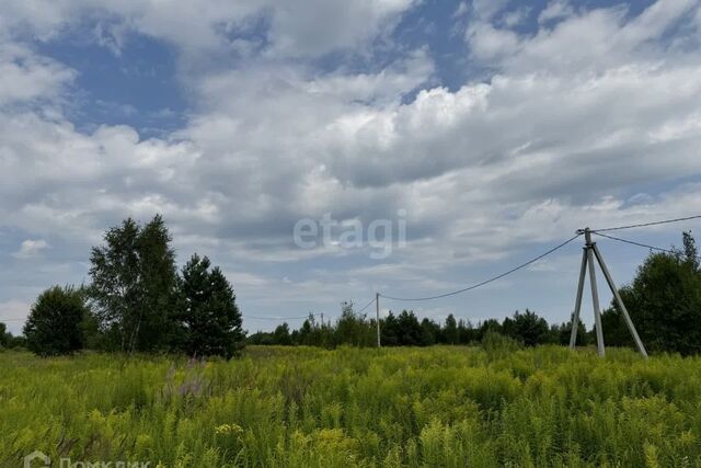 деревня Чуркино фото