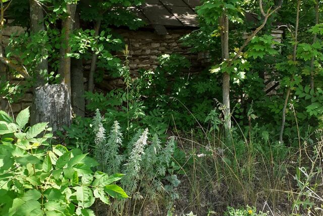 Верхнеказаченский сельсовет, село Верхнее Казачье фото