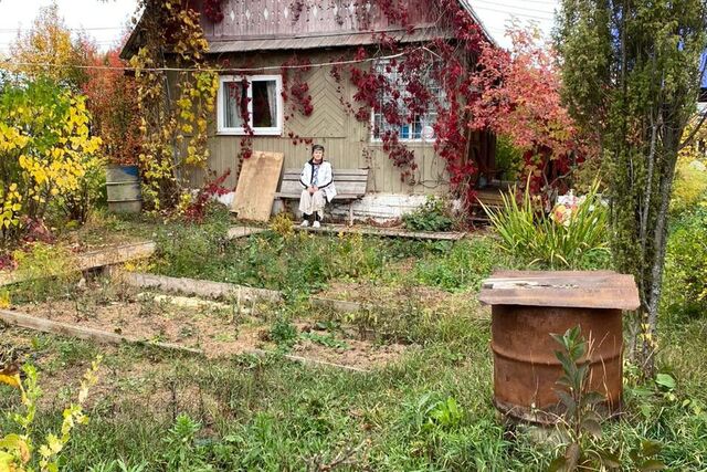 р-н Дзержинский городской округ Пермь, коллективный сад Электровозник фото