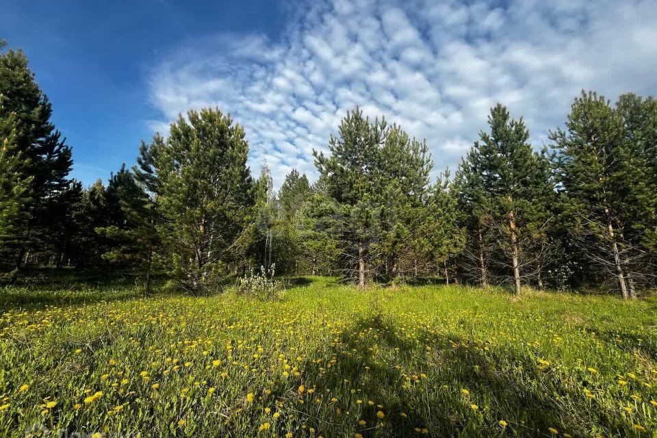 земля р-н Нижнетавдинский посёлок Торгили фото 4