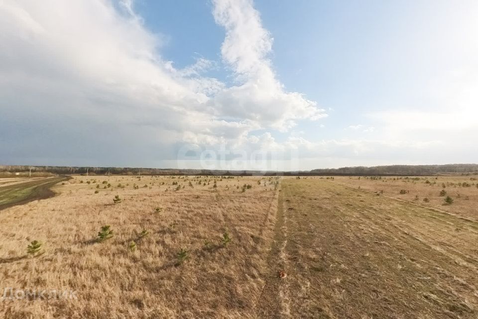 земля р-н Тюменский село Кулига фото 2