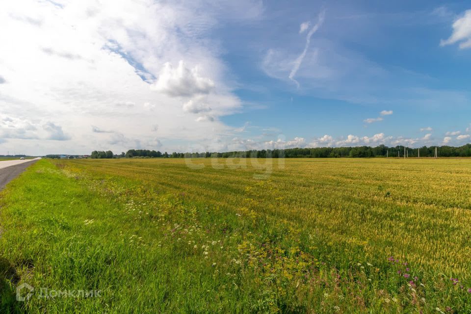 земля р-н Нижнетавдинский деревня Малый Хутор, улица Мира фото 3