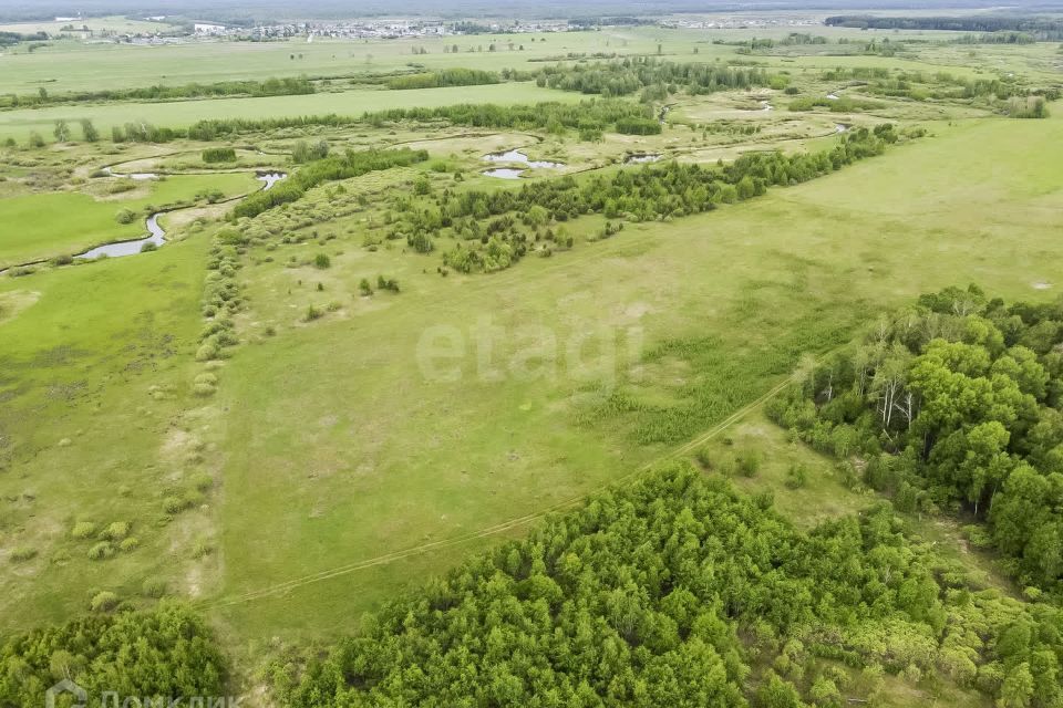 земля р-н Тюменский село Салаирка фото 3