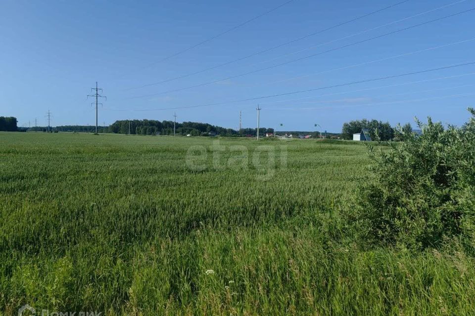 земля р-н Нижнетавдинский село Иска фото 2