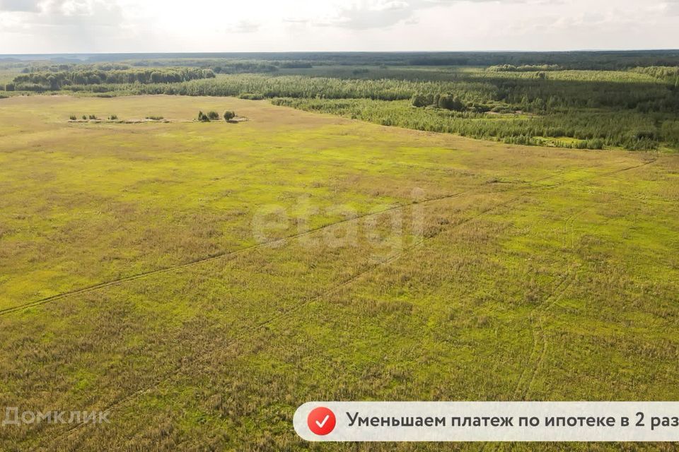 земля р-н Тюменский село Кулига фото 2