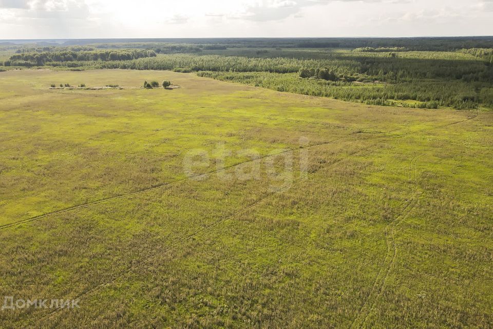 земля р-н Тюменский село Кулига фото 3