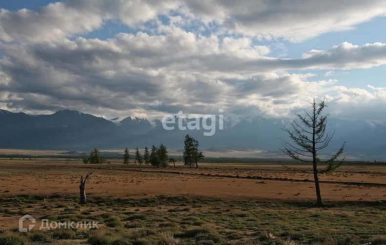 земля р-н Кош-Агачский село Курай фото 2