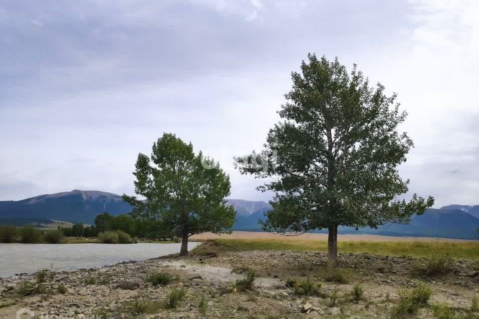 земля р-н Кош-Агачский село Курай фото 4