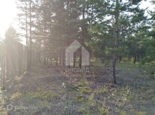 земля р-н Тарбагатайский фото 2