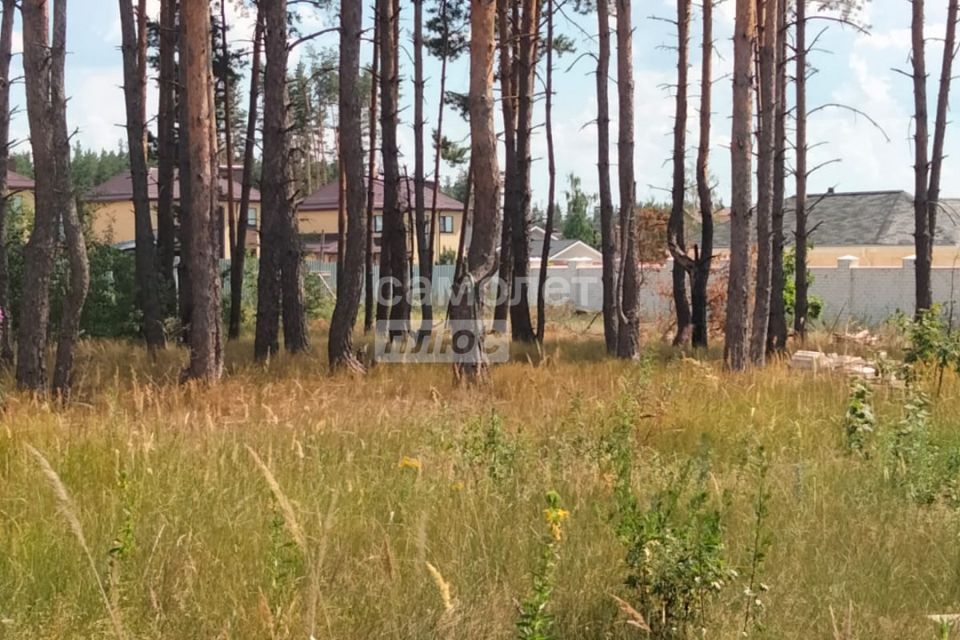 земля р-н Рамонский д Новоподклетное ул Генерала Горчакова фото 3